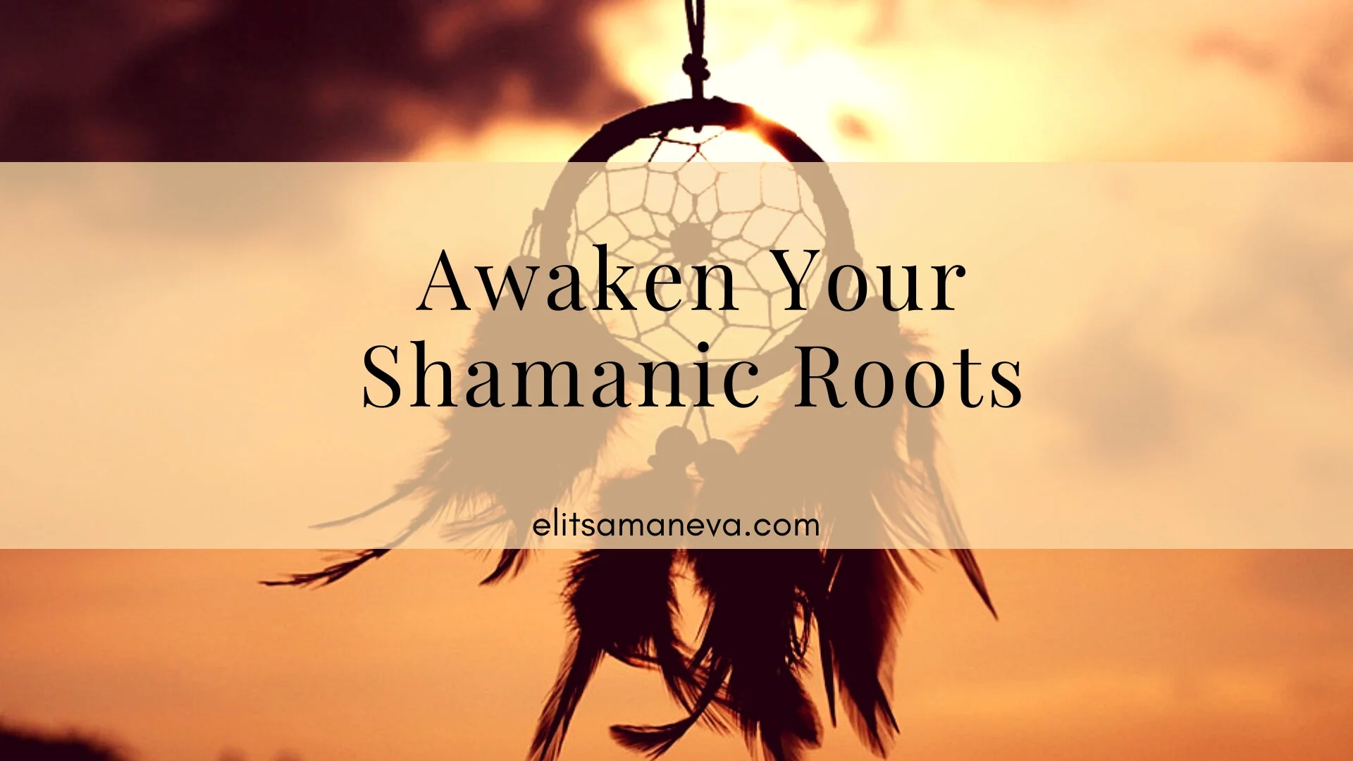 Shamanic Experience.jpg