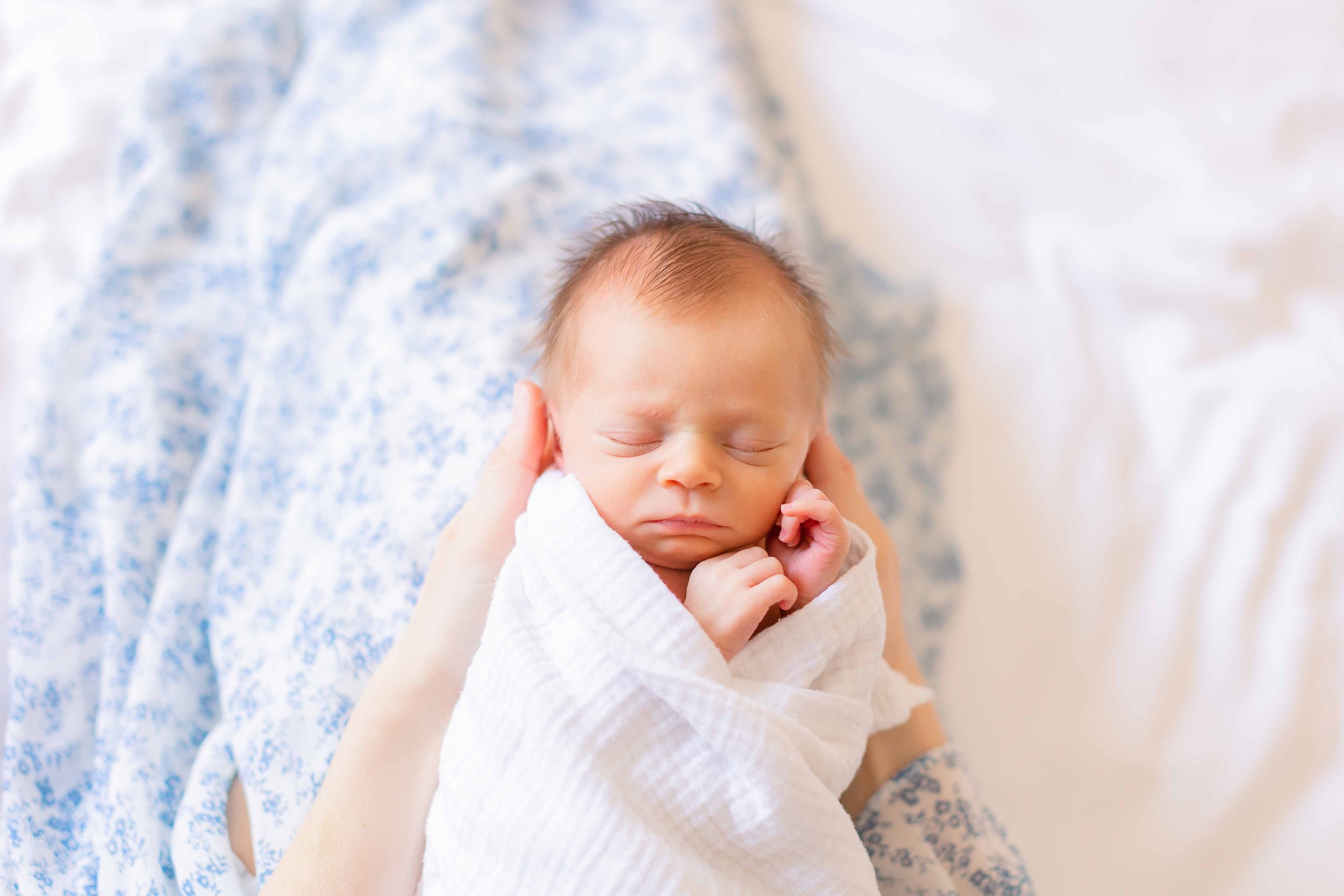 Newborn in Alexandria-1.jpg