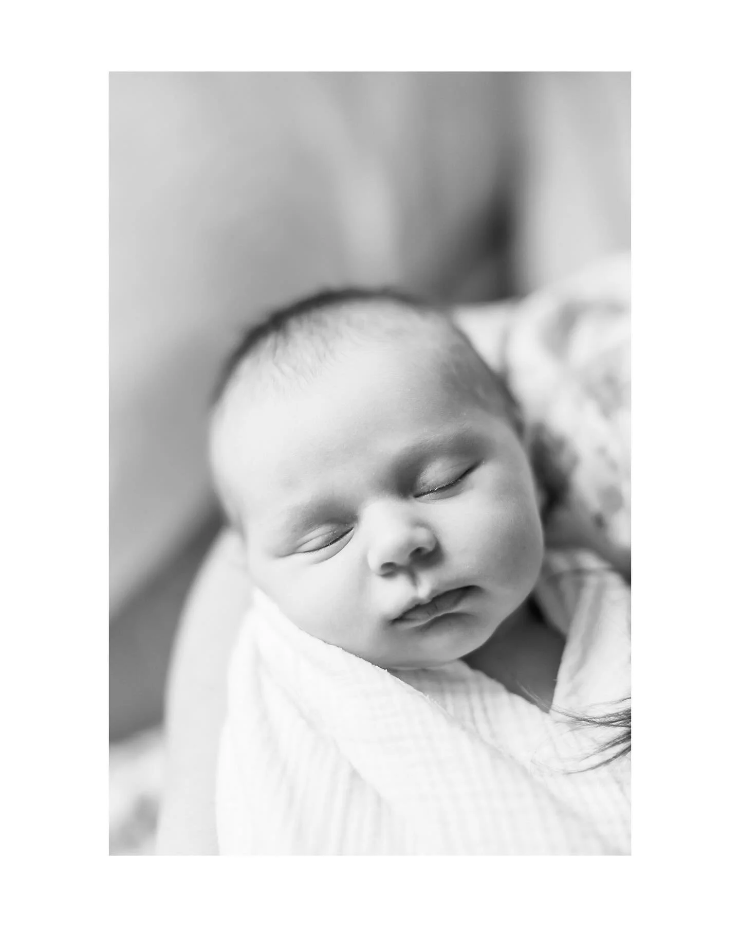 2025 started out strong with this session. It was so beautiful and I had to keep the picture that some might consider an outtake. Keep scrolling and tell me if that doesn&rsquo;t scream toddler boy mom! 😍