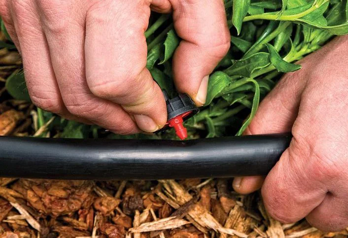 drip-irrigation-.jpg