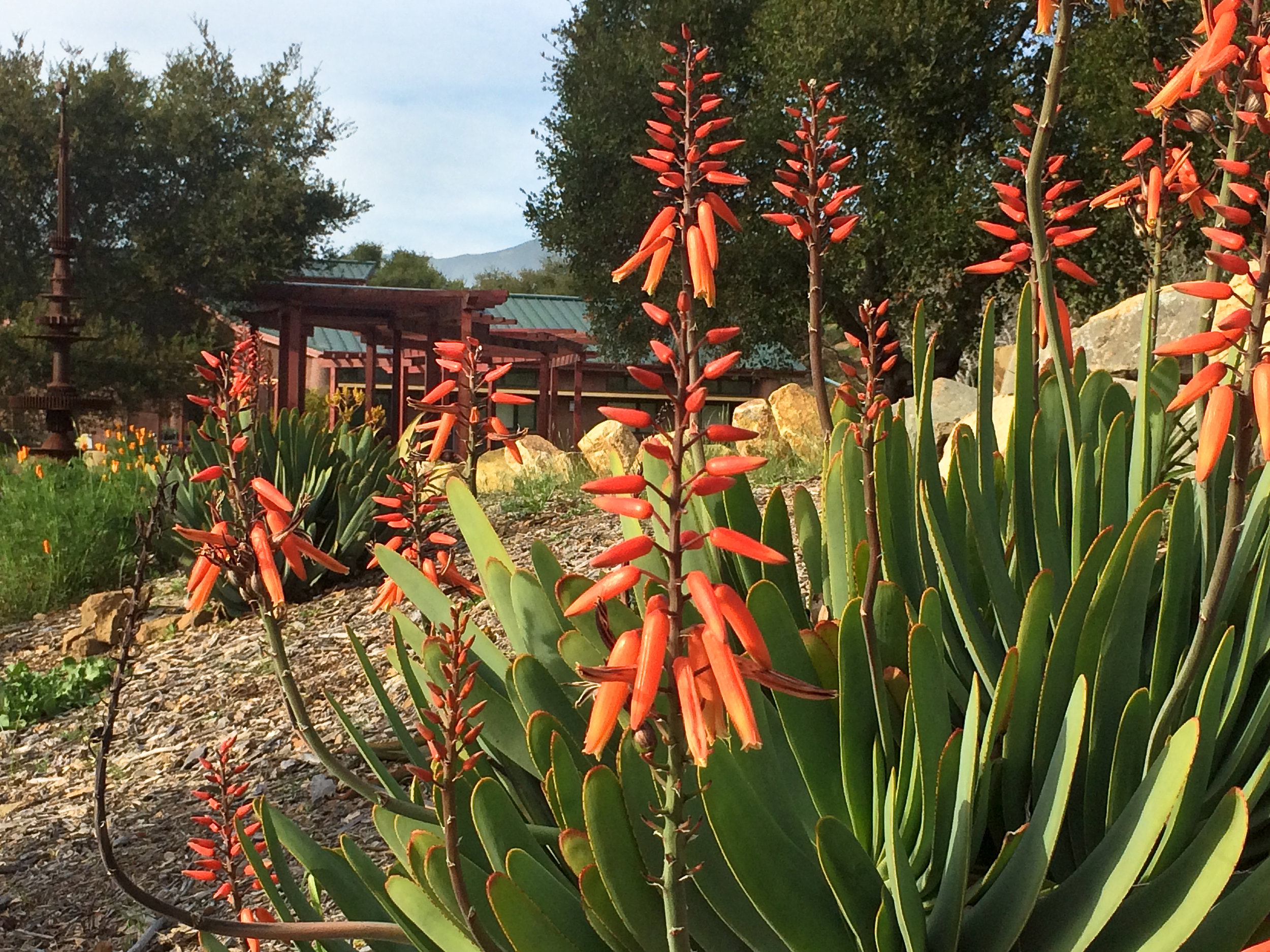 Membership Benefits Slo Botanical Garden