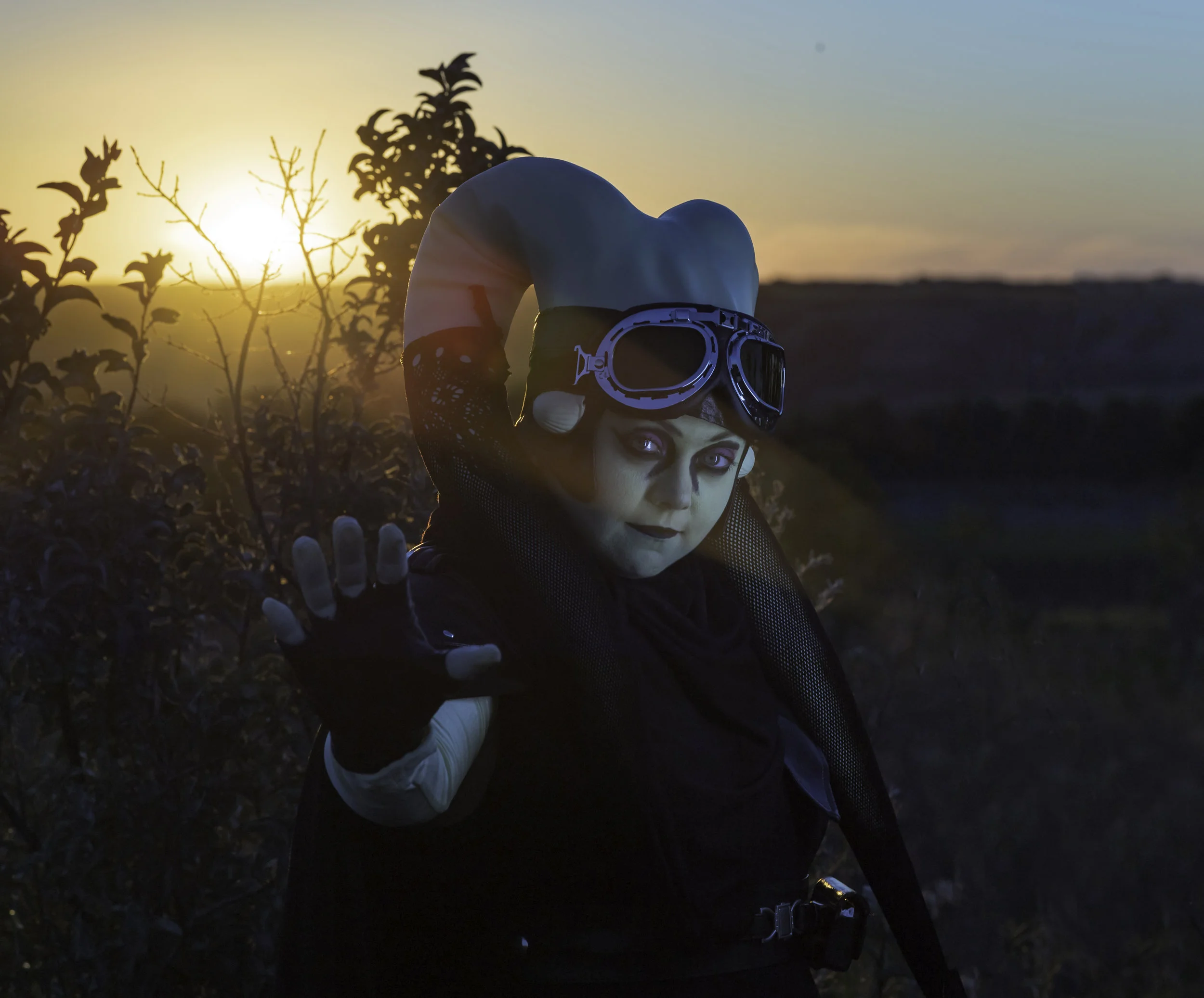 Twilek 2018-07-15-205756_01-Done.jpg