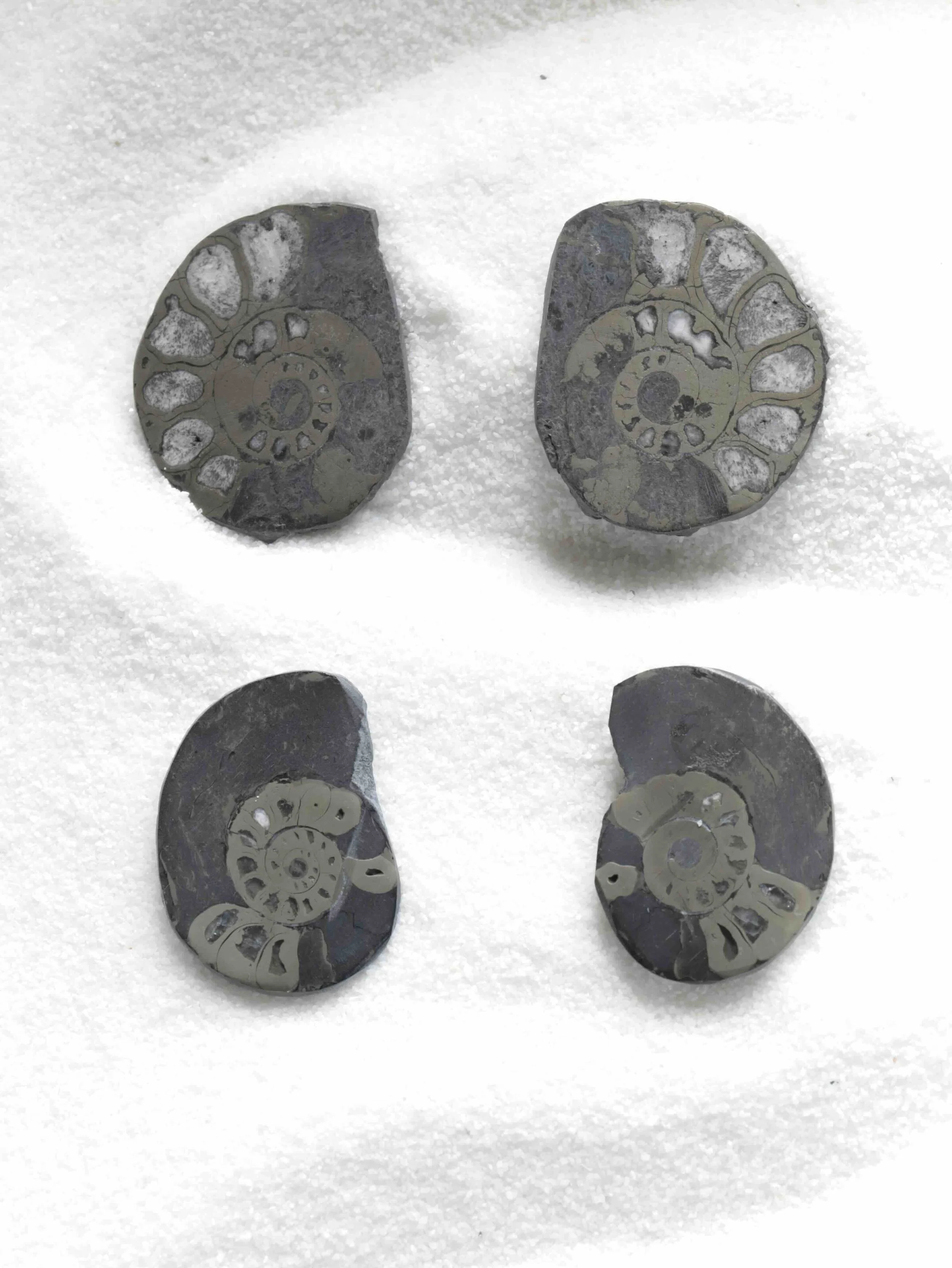 Ammonite pyritisée - Pierre pour l'Abondance solaire & la renaissance - SOLYA - Eshop de lithothérapie - Magasin de pierres éthiques & naturelles en Belgique - Bijoux, cristaux & minéraux.jpeg