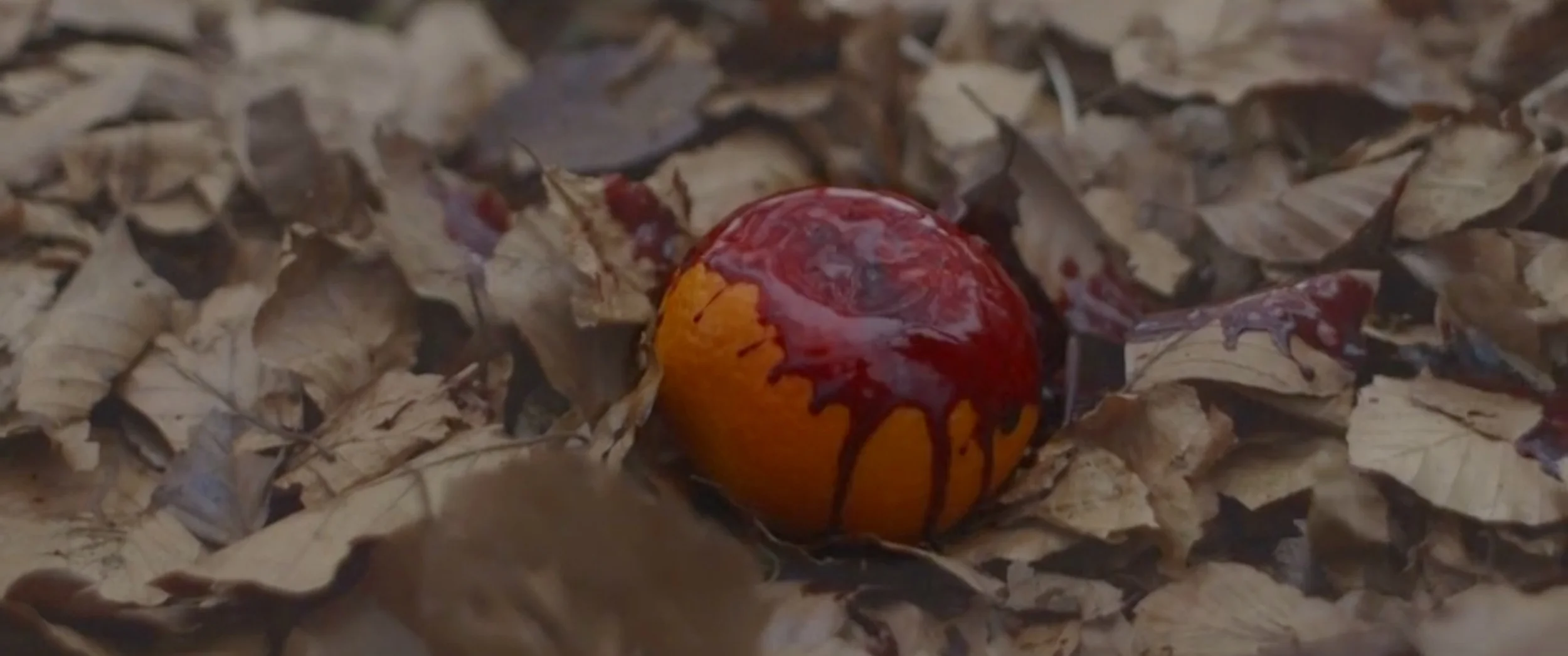 Film of the Fortnight: Satsuma 
