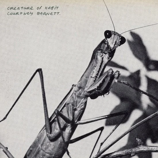 "Upcoming Album Releases: Get Ready to Review!"