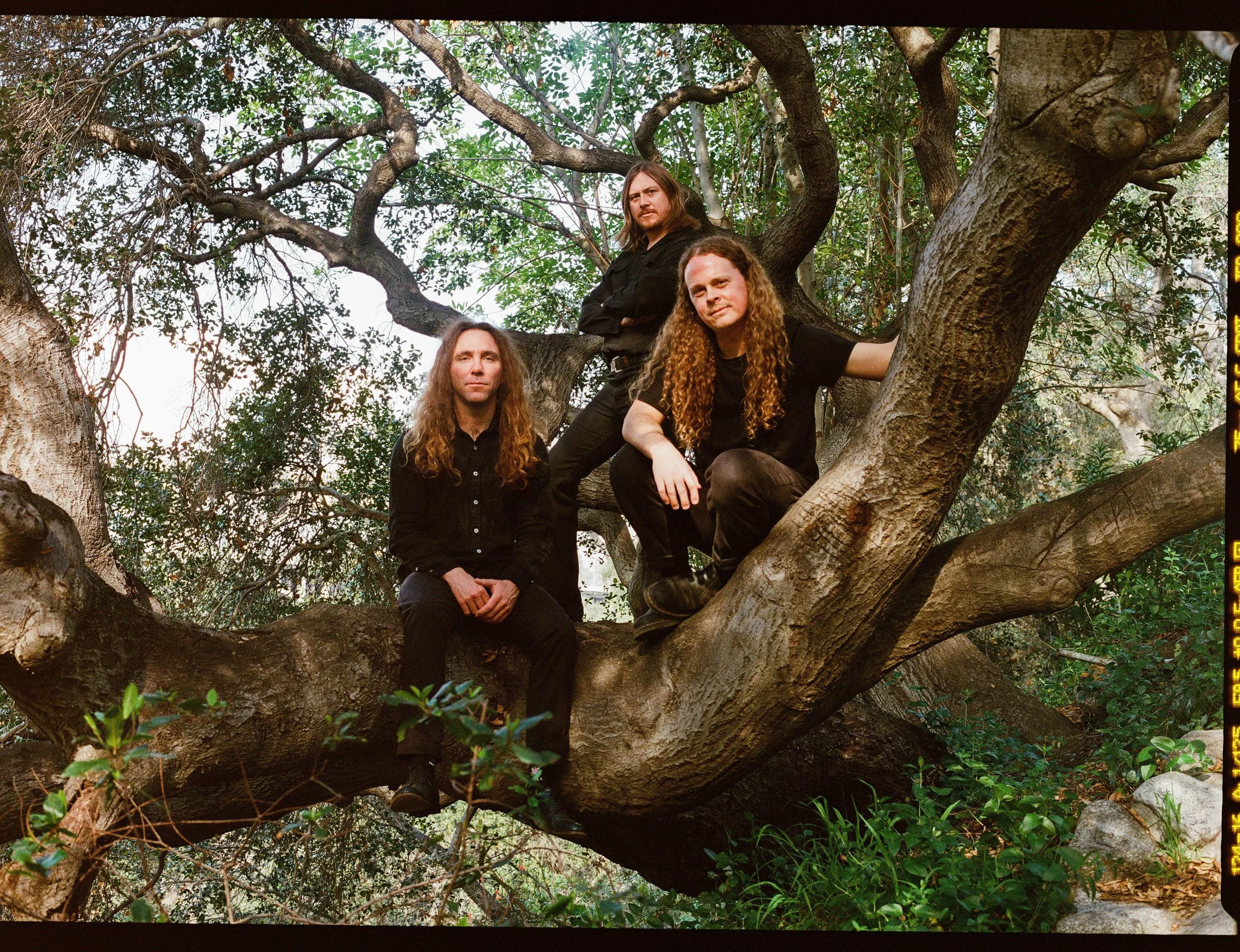 "Primitive Ring Launches Self-Titled Album with New Single"