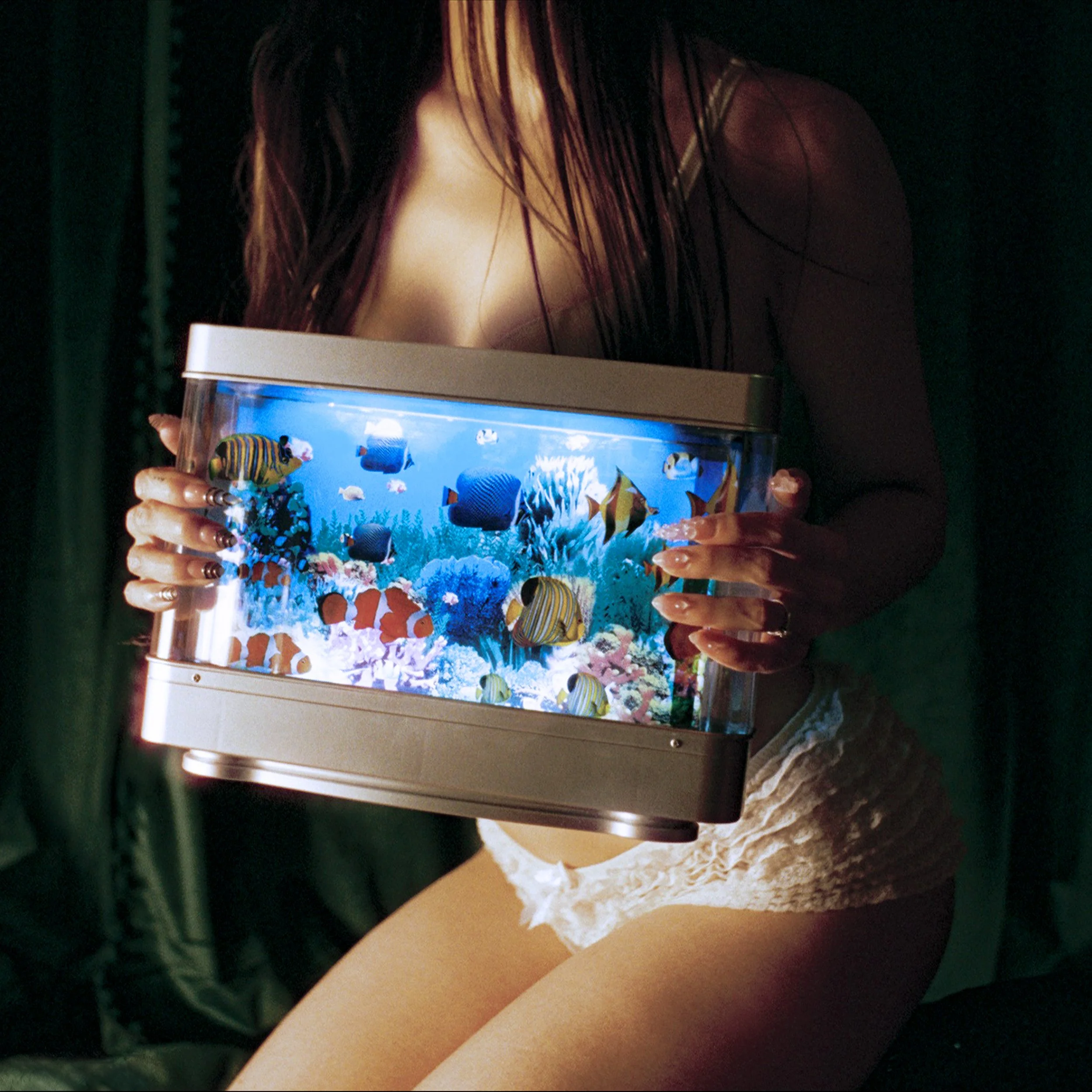 "CASANDRA Unveils New Single: 'SOLUTION'"