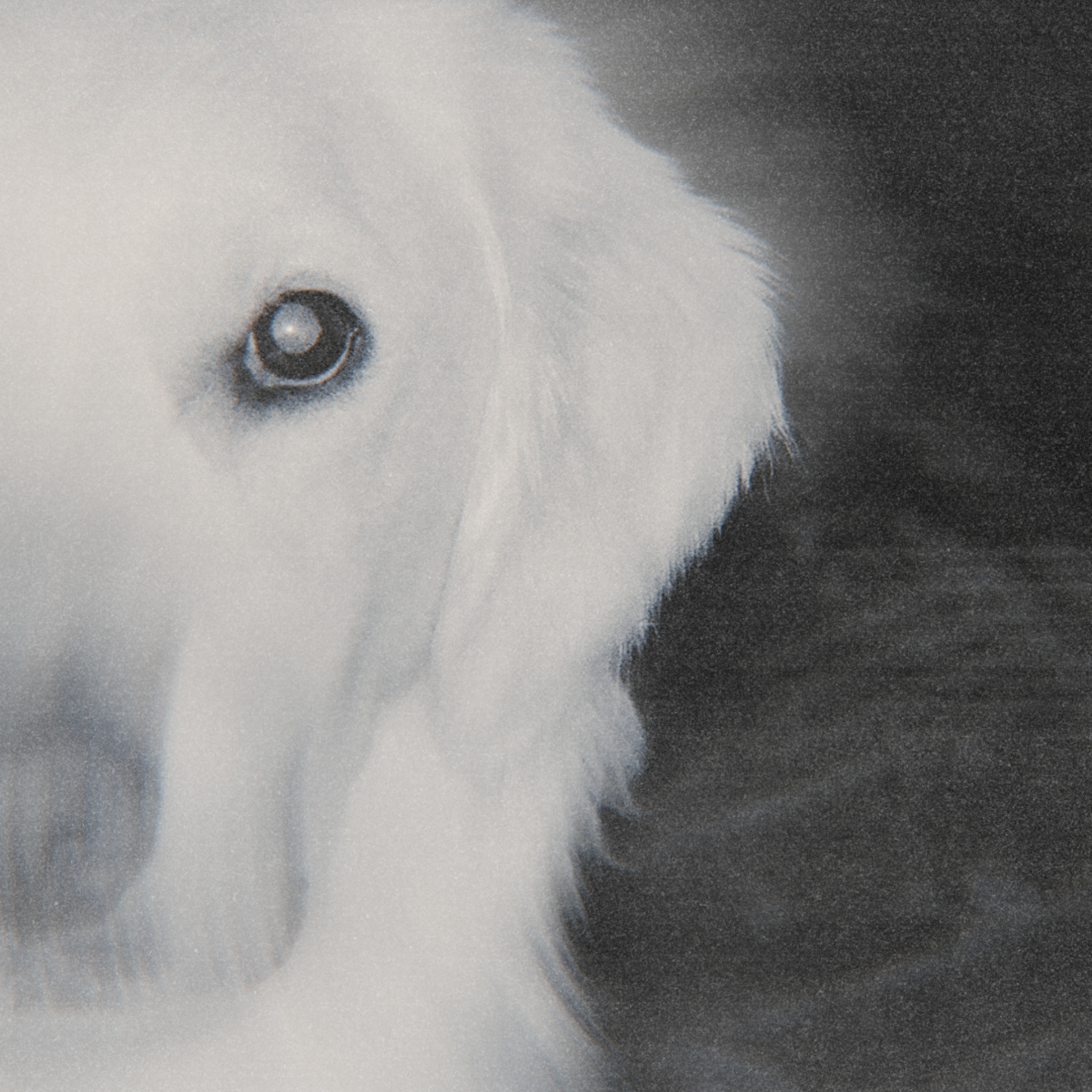 "Alaina May Releases Heartfelt New Single 'The Dog'"