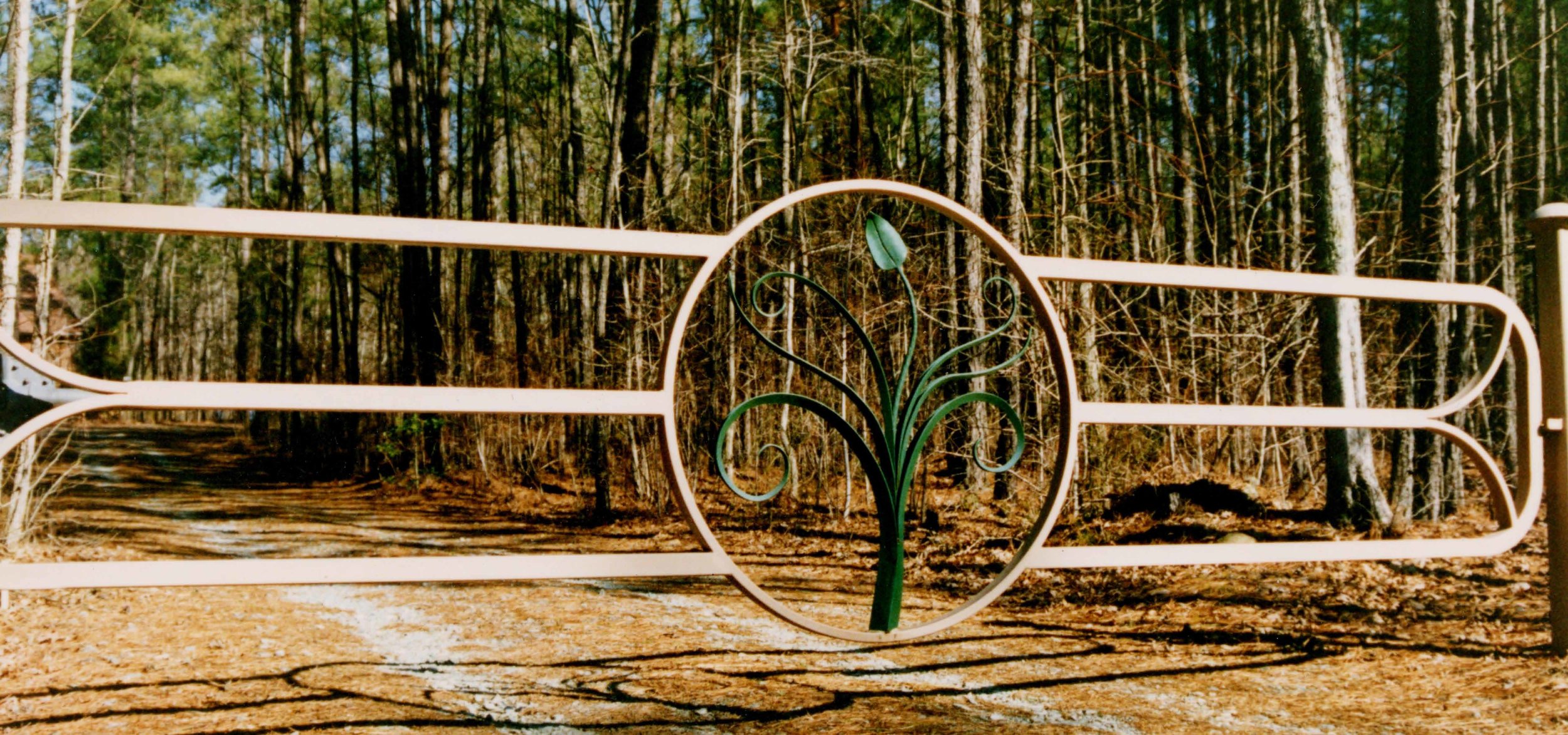 modern organic style