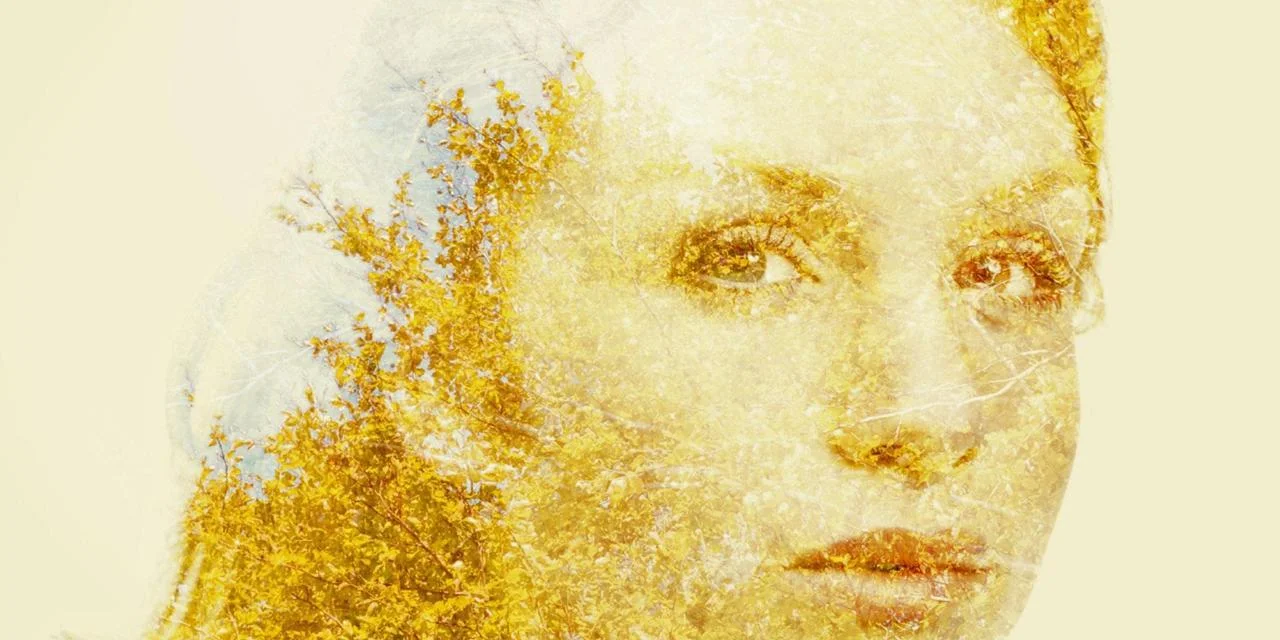 Meditation &amp; Cognition - Online Magazine