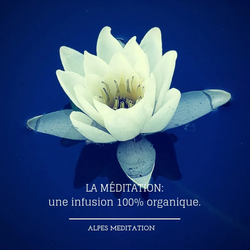 Une infusion 100% organique. 