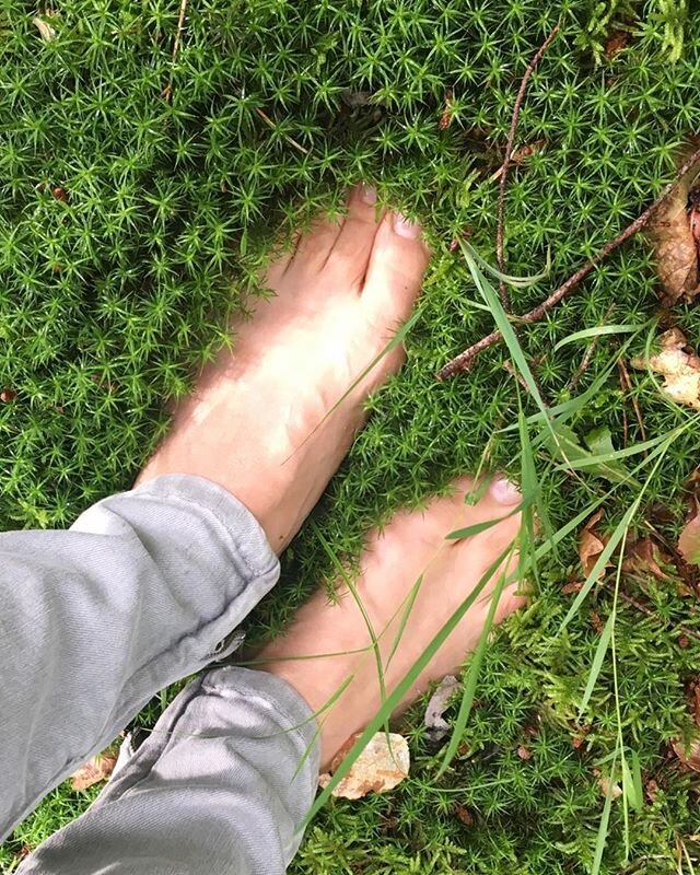 Marcher pieds nus sur un tapis de mousse apr&egrave;s l&rsquo;orage... respirer en douceur... se resSourcer 💚

Apr&egrave;s quelques minutes dans la nature notre taux vibratoire s&rsquo;&eacute;l&egrave;ve naturellement. Et si vous marchez dehors ap