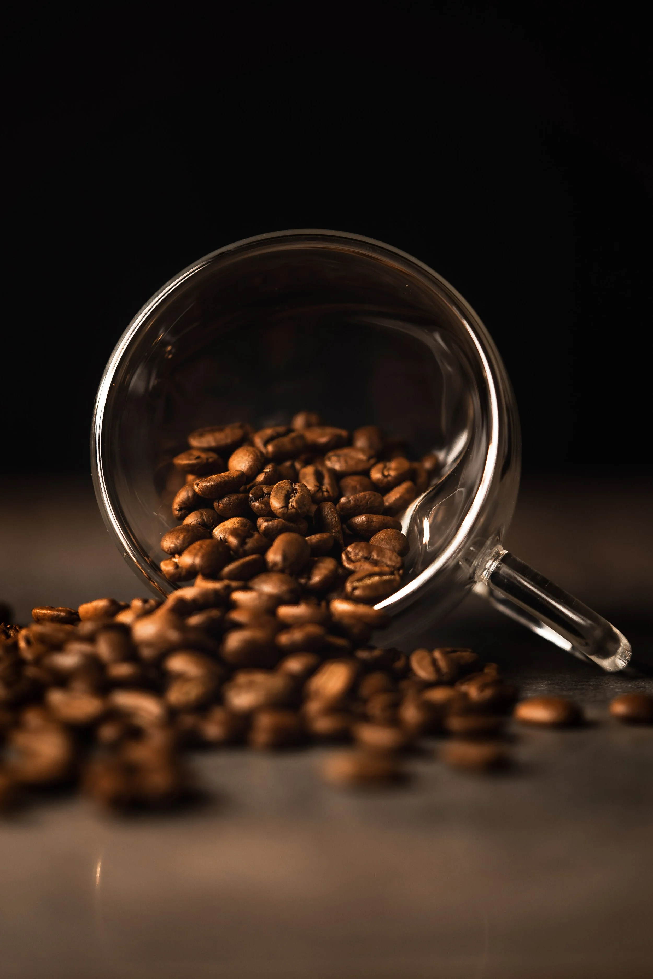 WarriorCoffee_228-8.JPG