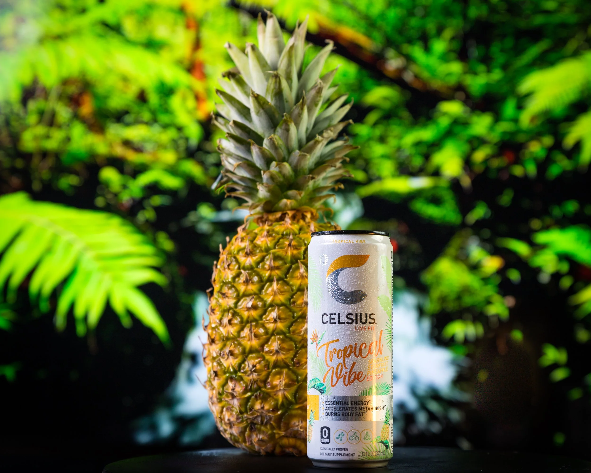 Celsius Styled Photography