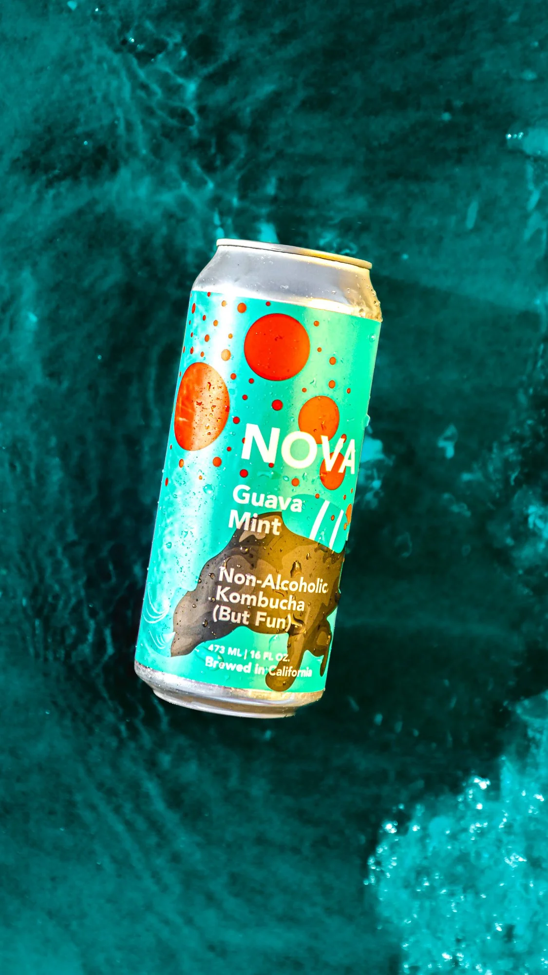 Nova Brazil Kombucha Styled Photography 