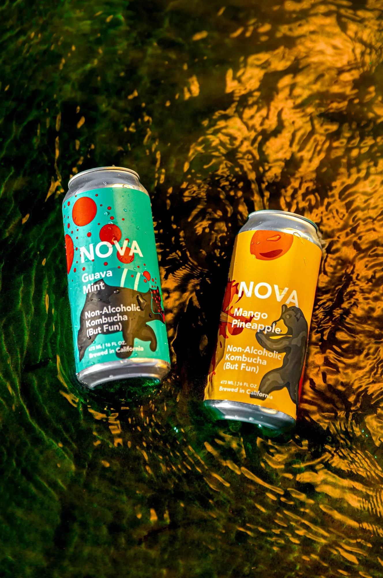 Nova Brazil Kombucha Styled Photography