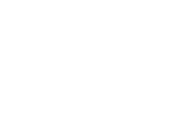 skrewball-logo.png