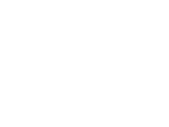 stella-jeans-logo.png