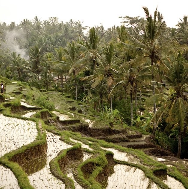 Chances to Explore The Beauty of Bali