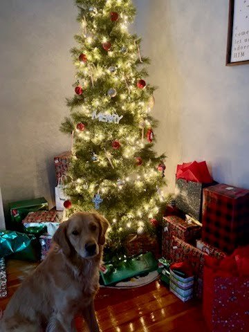 Christmas Contest 8.jpg
