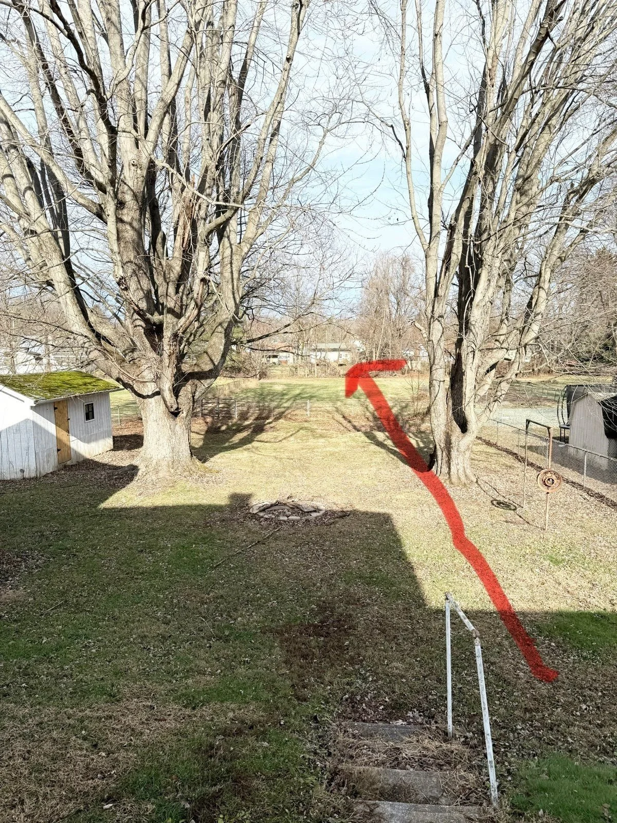 attachment (68).jpeg