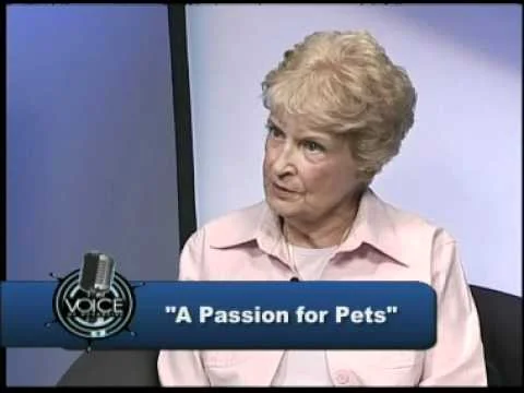 Voice of Oceanside A Passion for Pets