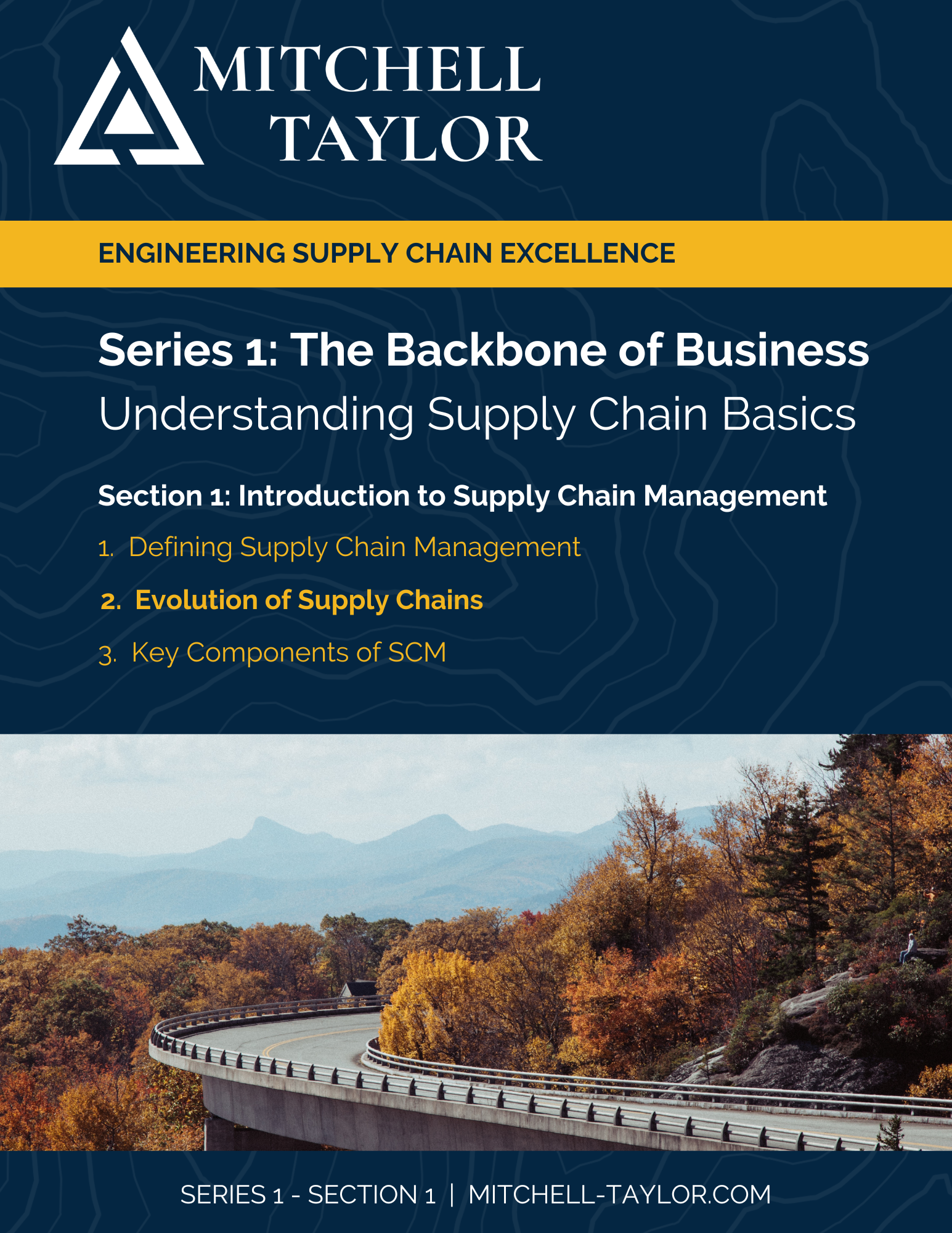 Evolution of Supply Chains