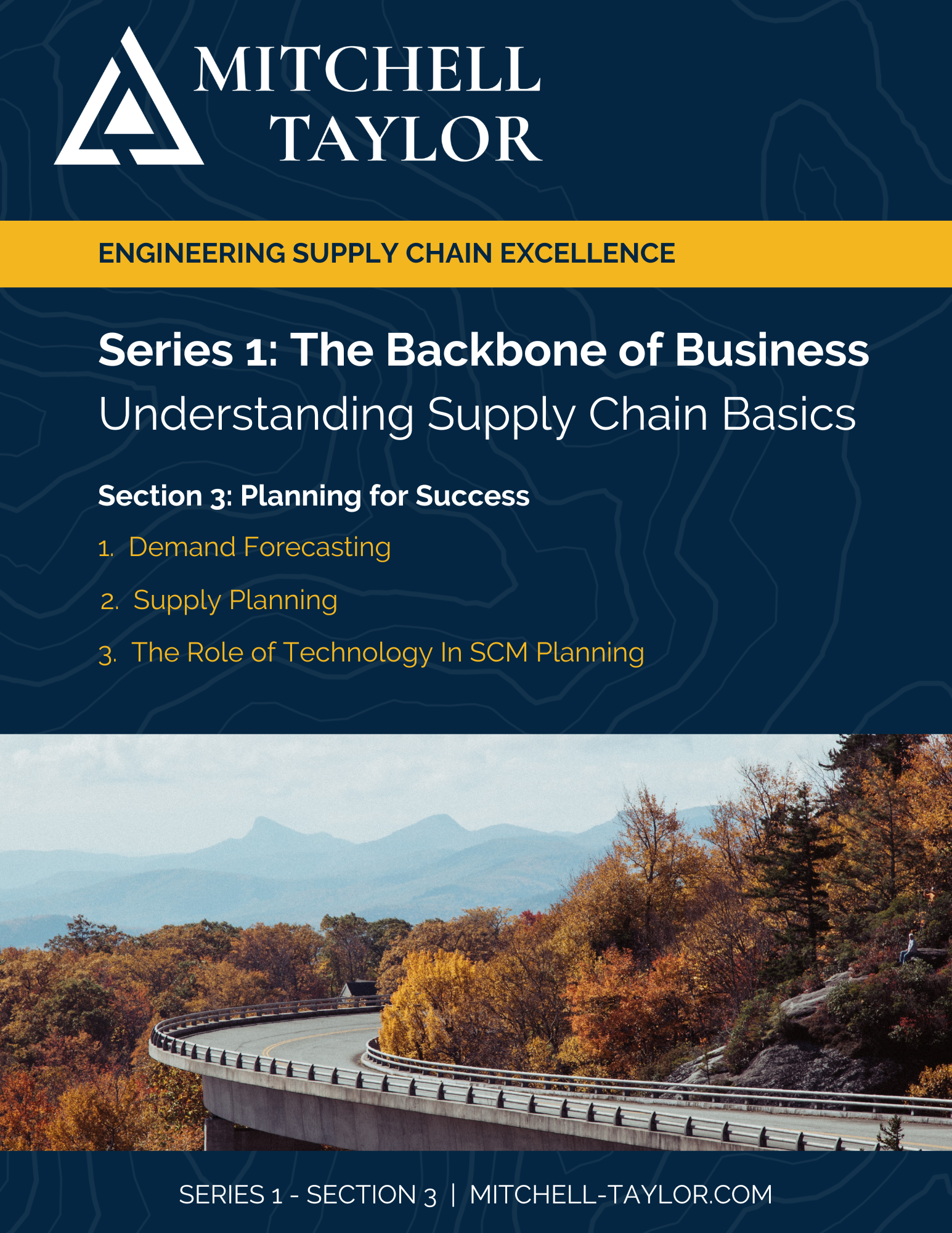 Mastering Demand Forecasting, Supply Planning, and the Technology Revolution in SCM