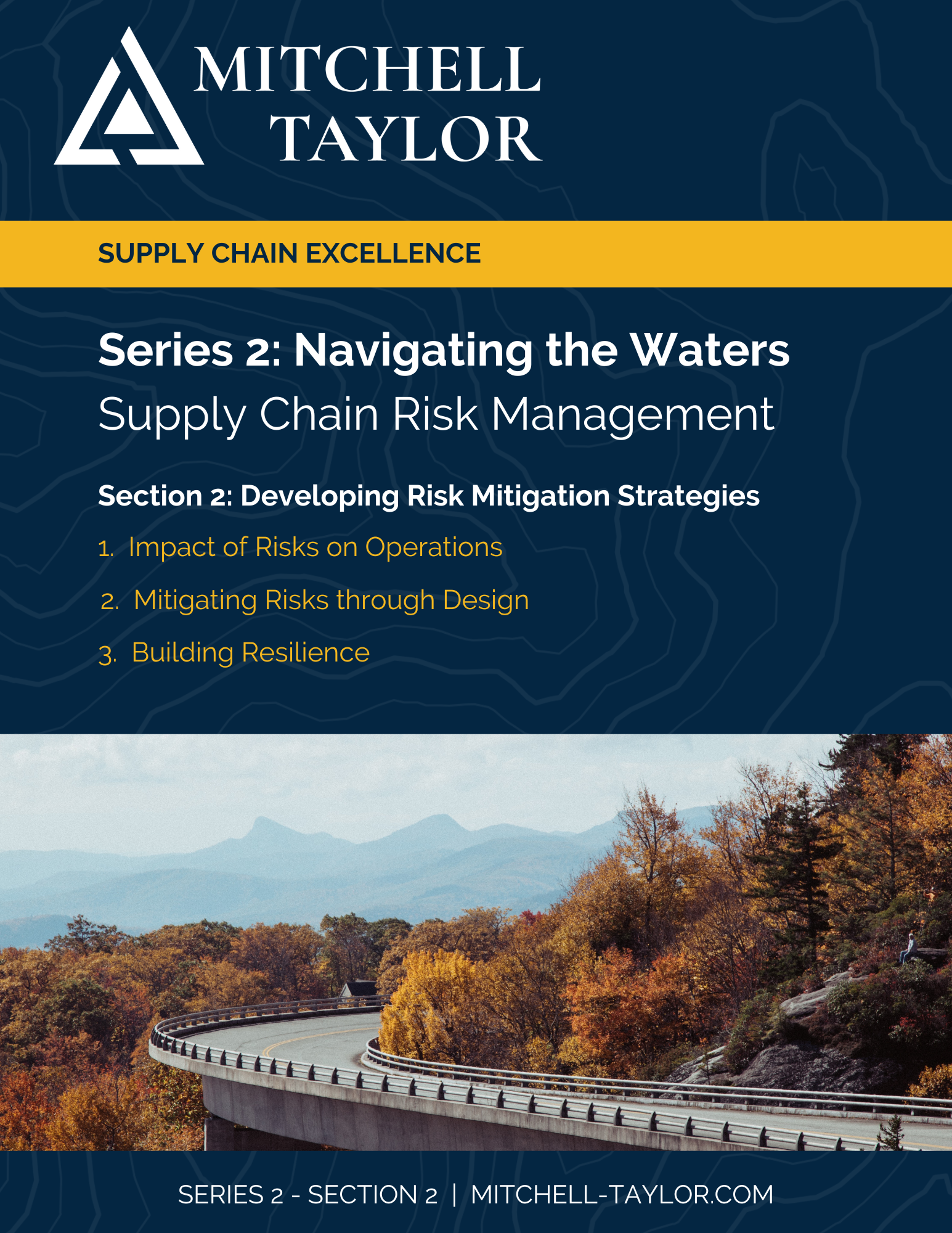 Developing Risk Mitigation Strategies