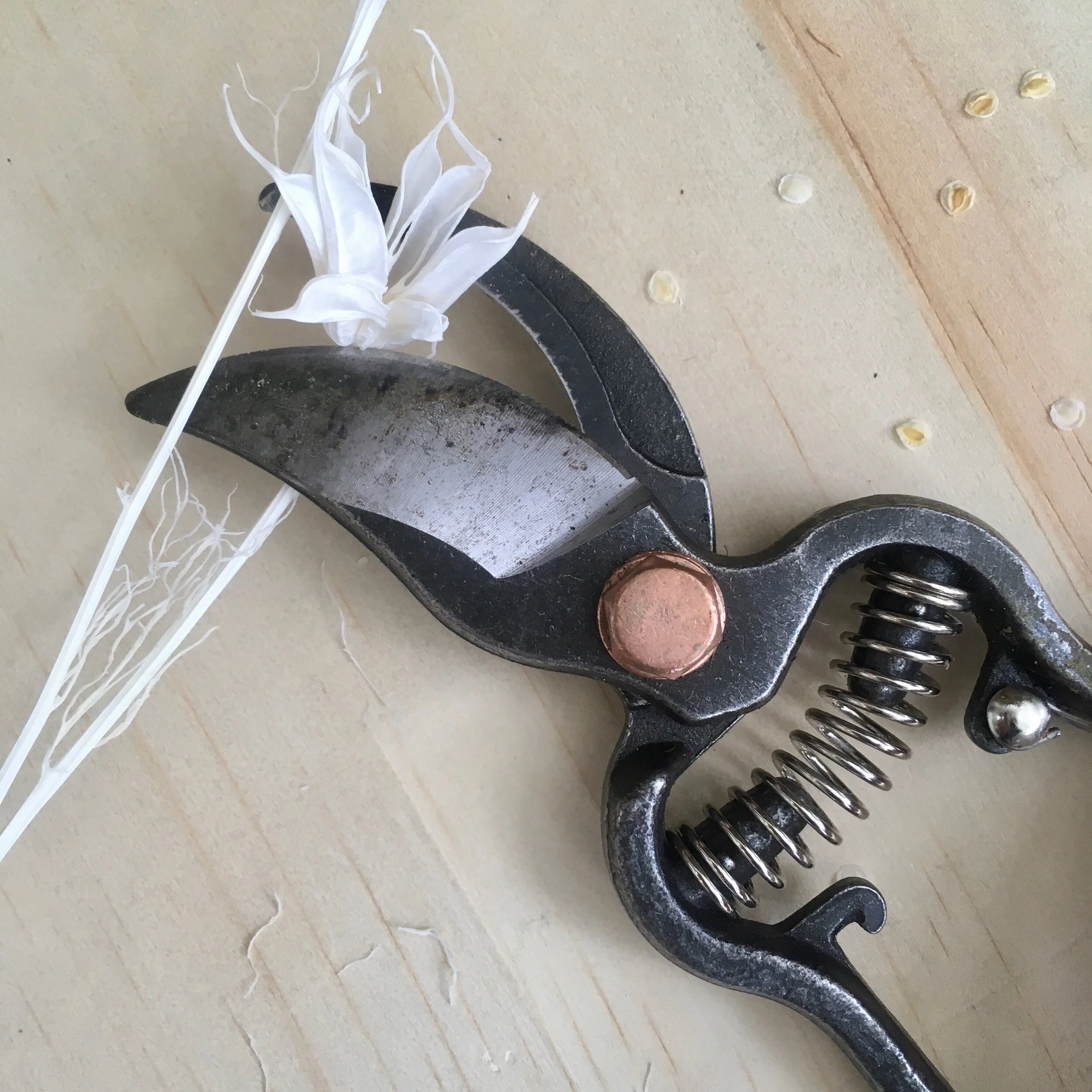 BE109D66-53A1-4ADB-BC9E-CBBF8EFFFAFF