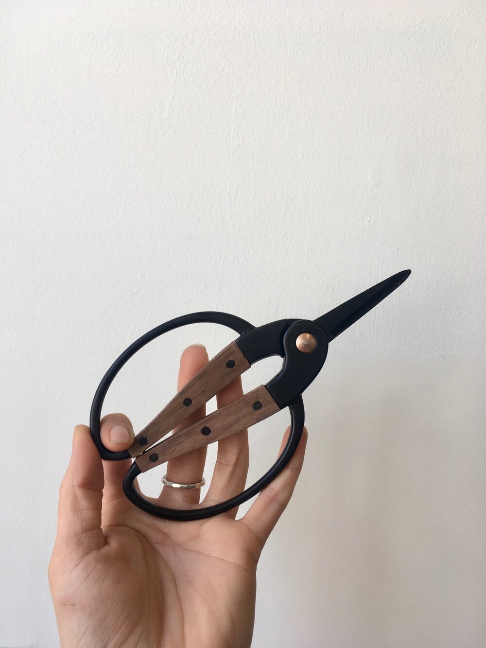 Barebones Large Scissors – MIgardener