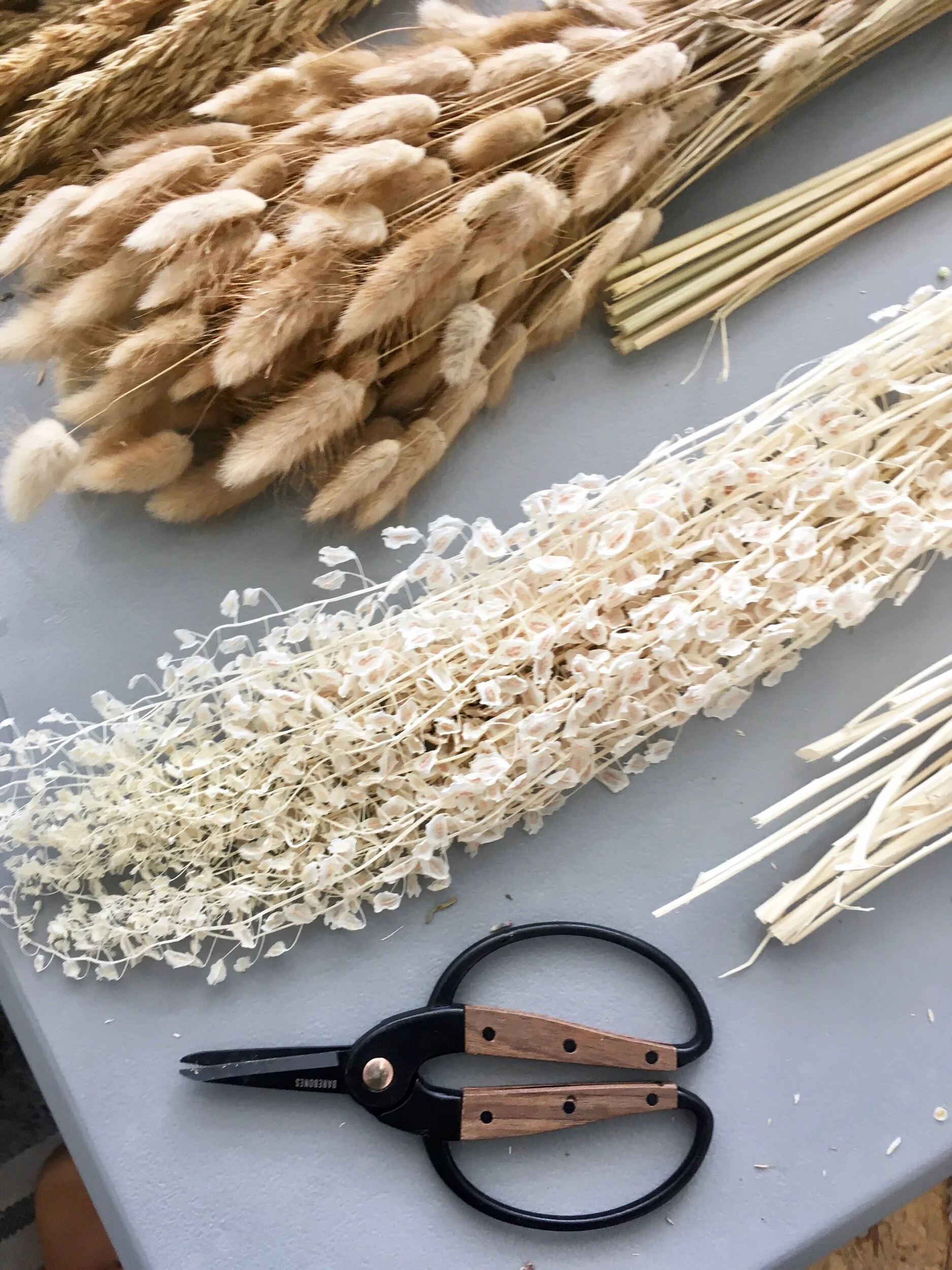 25E458A8-4178-4BD9-9ACD-936288B8A2A2