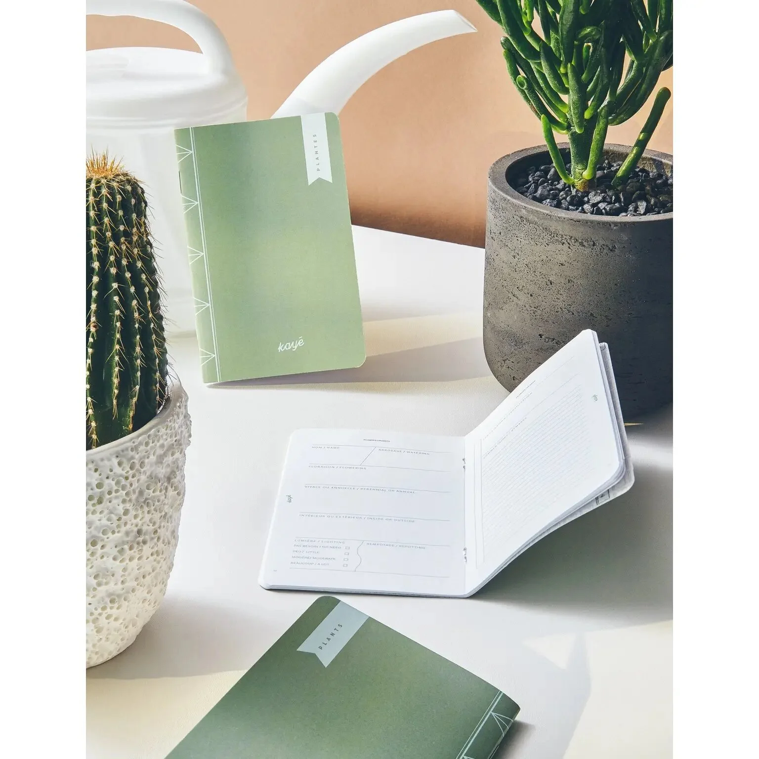 B8F9A73E-9EB5-4818-83DC-B9C8A0EE8FF1