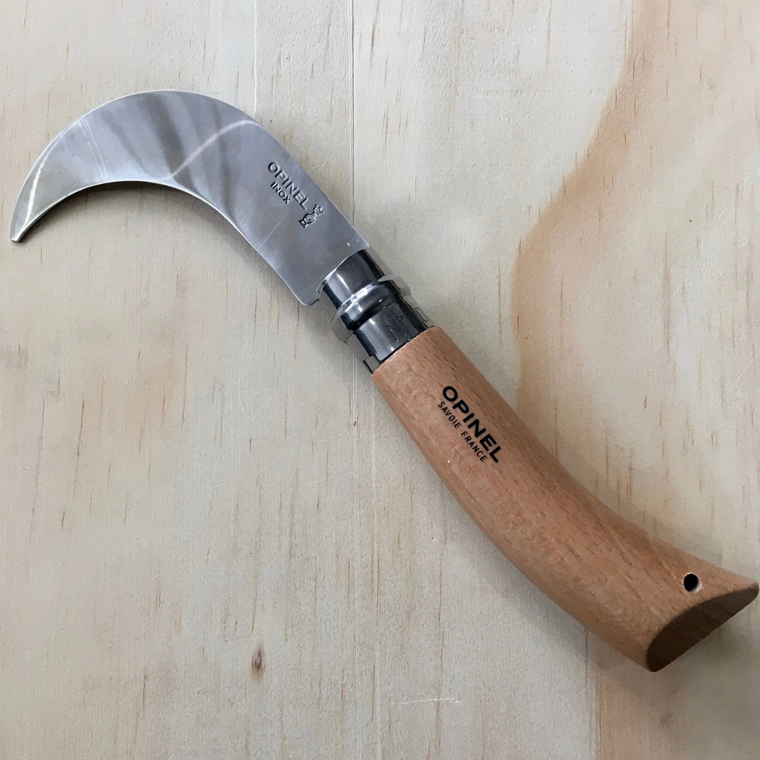 B277019F-3CF9-42D4-A73E-73DA3B8C4705