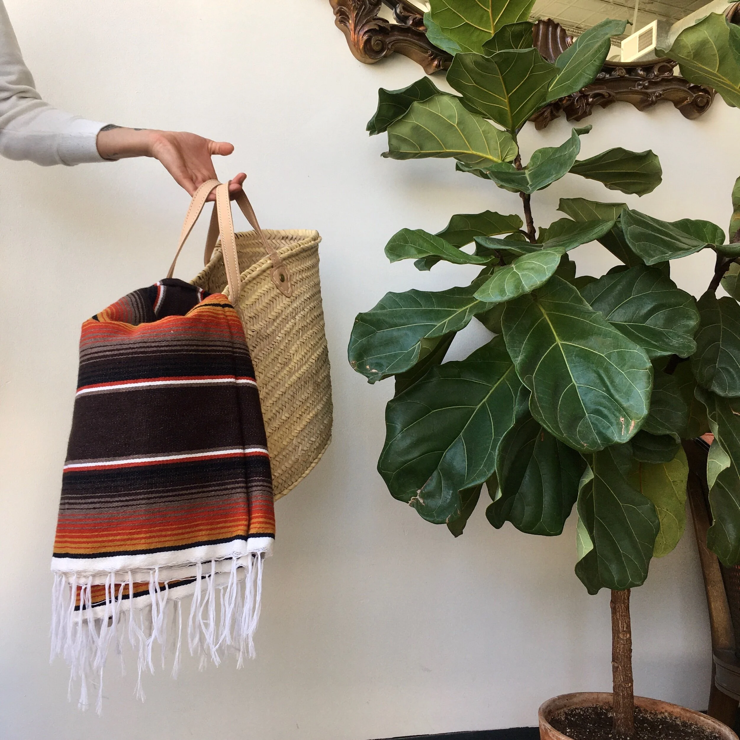 BFD1CE6B-4BF0-41E5-9D30-A5F48FE36002