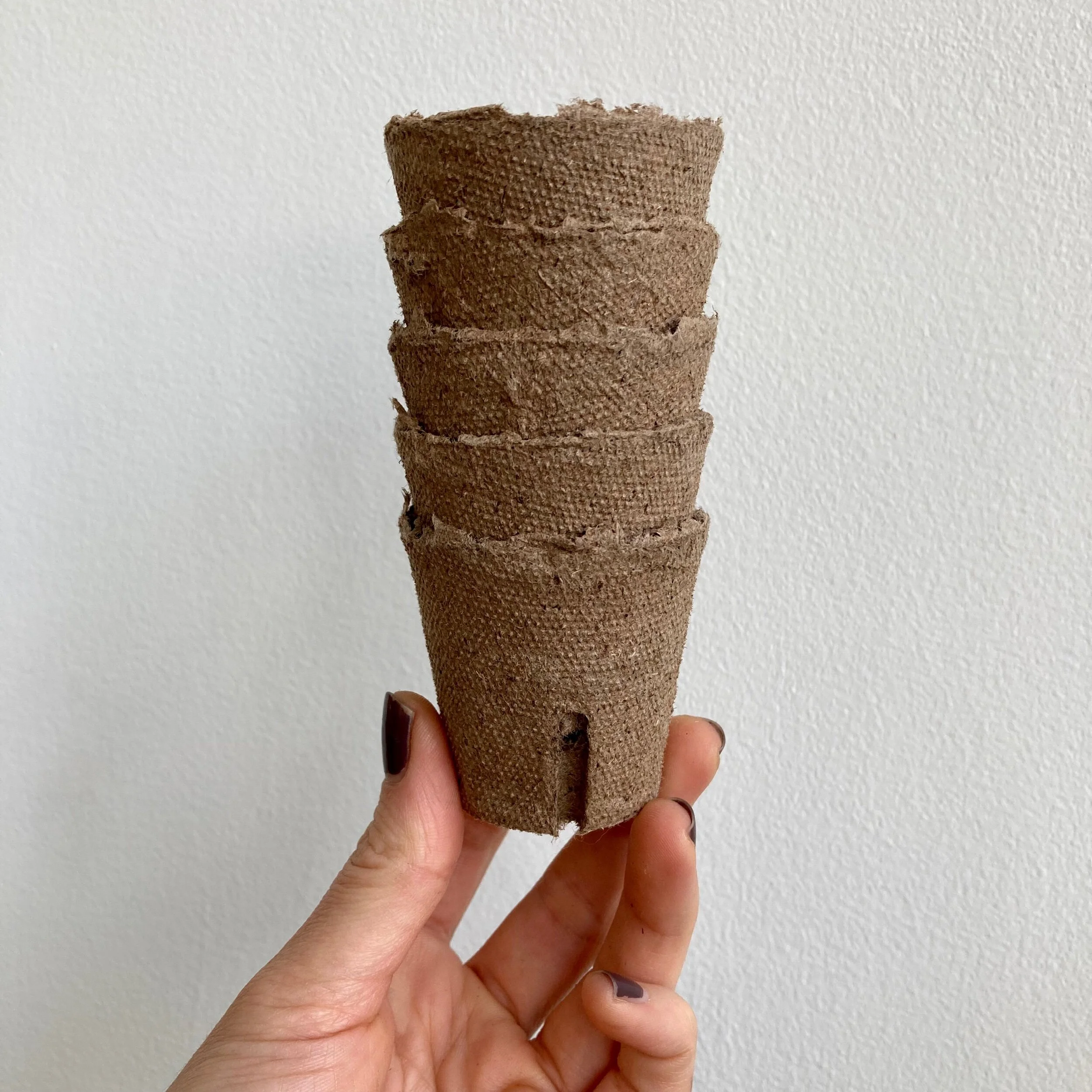 E03073C4-9003-4905-9D21-7A7C1B696F32