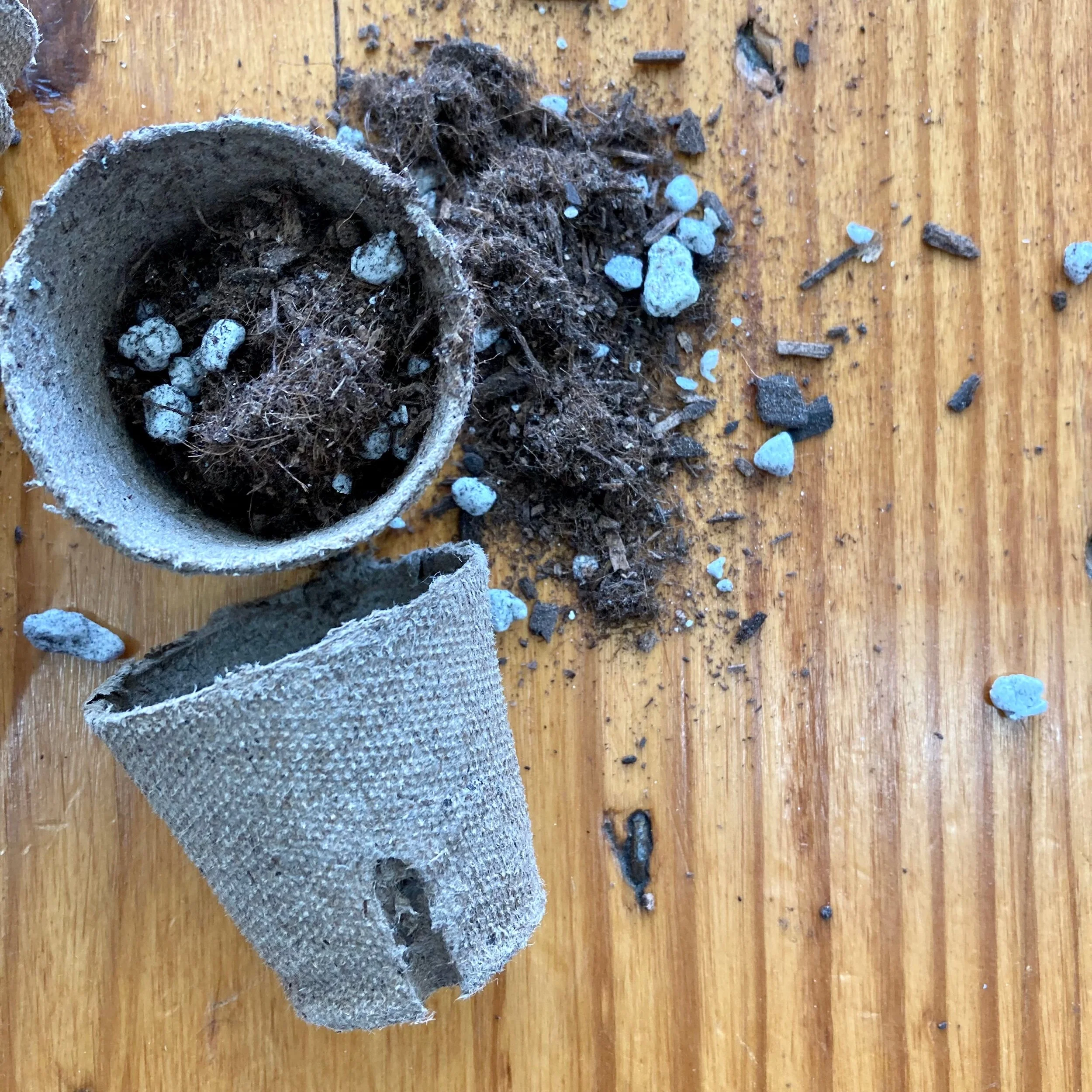 7F7077AF-1593-4AB8-AE16-71C438324CA0