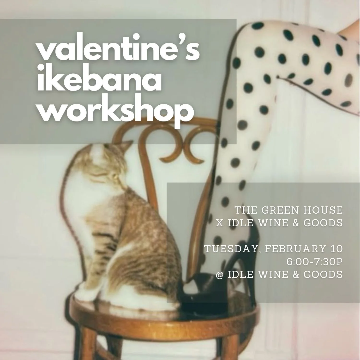 idle ikebana FINAL.jpg