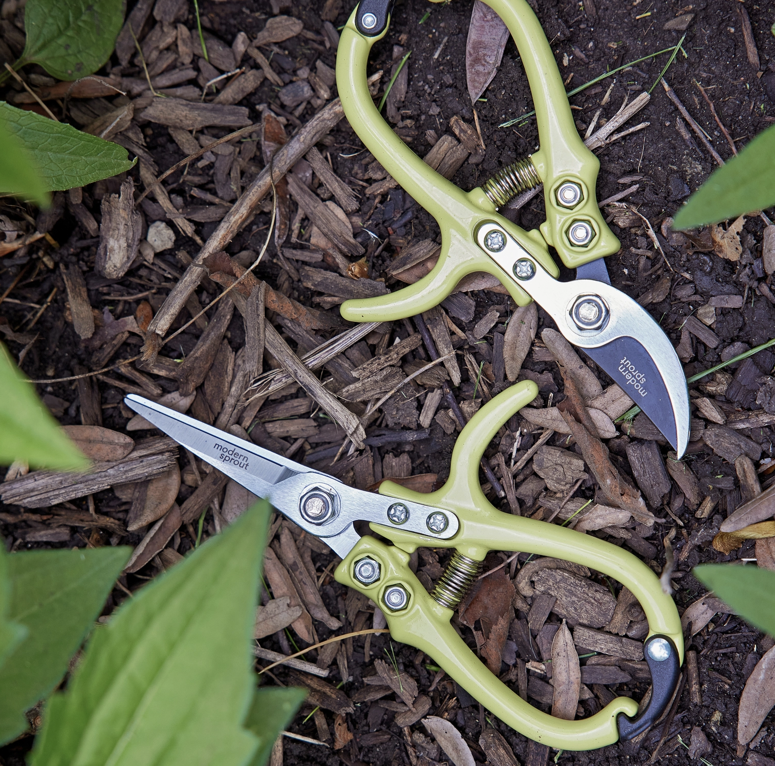 Screenshot 2024-10-24 at 10.49.27 PM.png