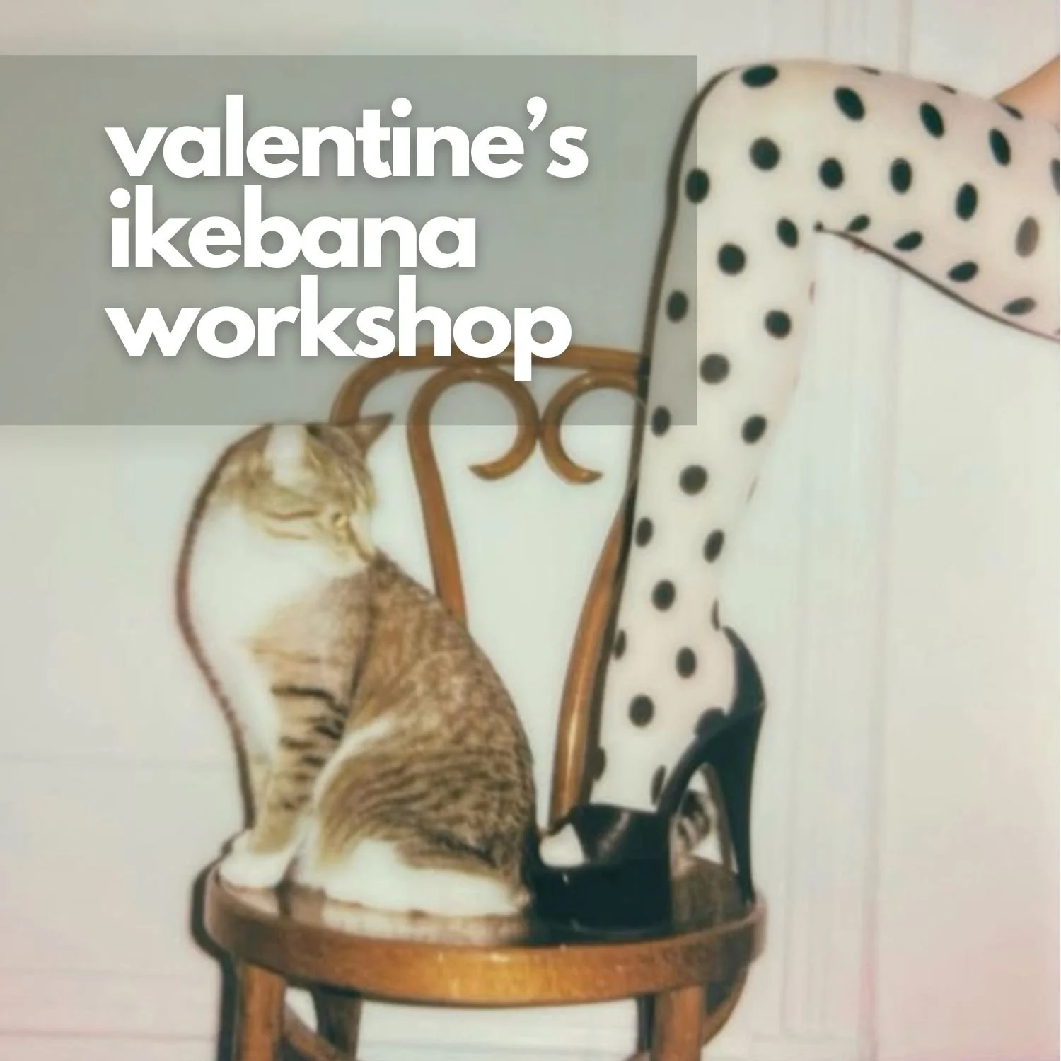 Copy of idle ikebana FINAL.jpg