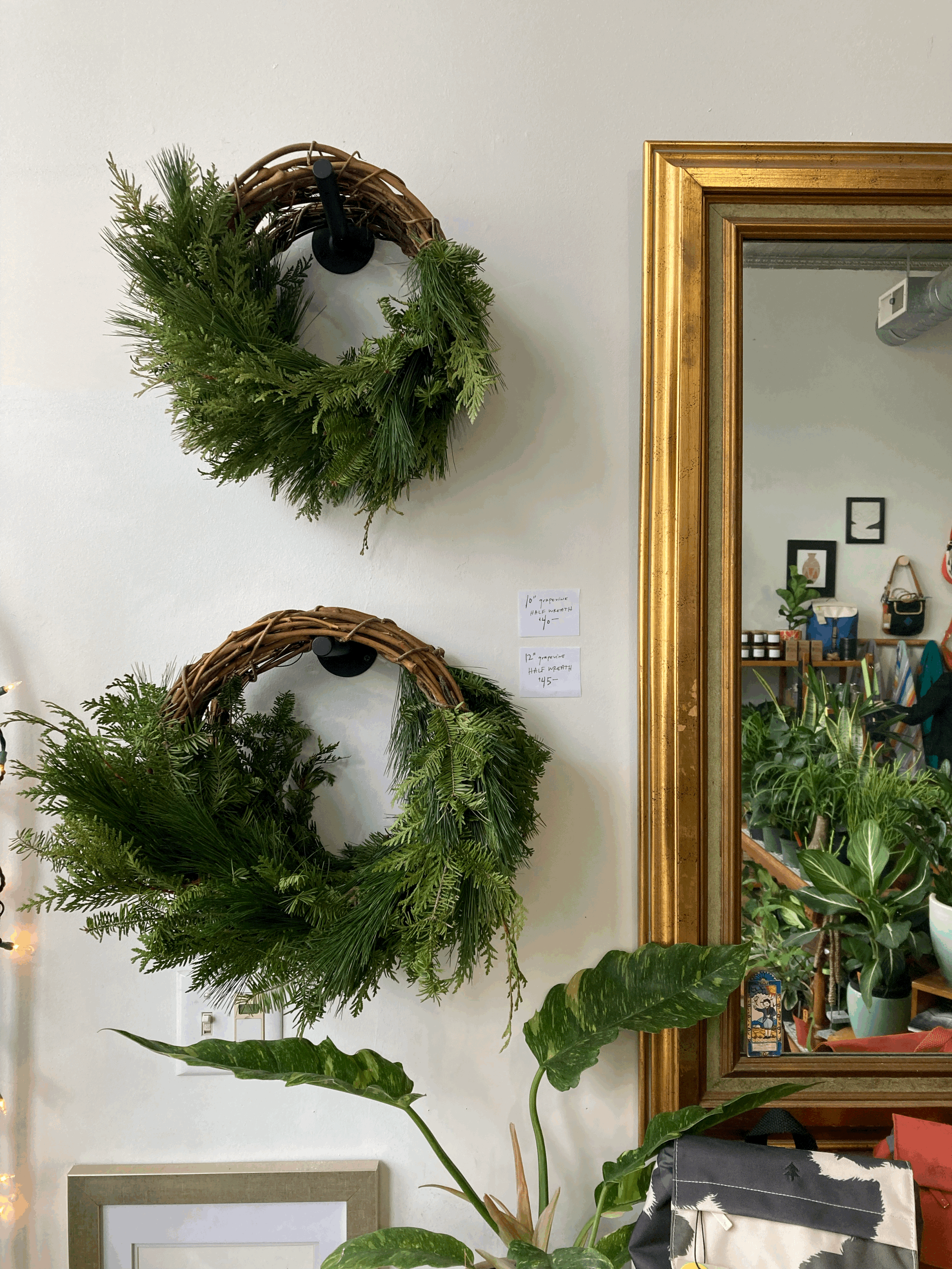 tempImageZ8IPh9.gif (Copy)