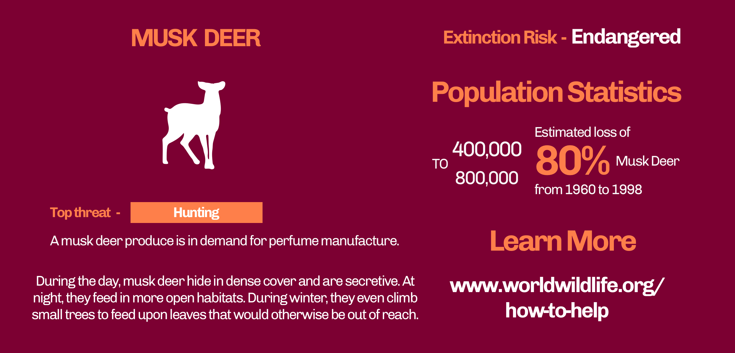 Deer.png