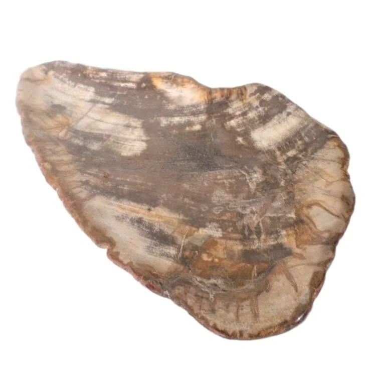 Petrified Wood Tray