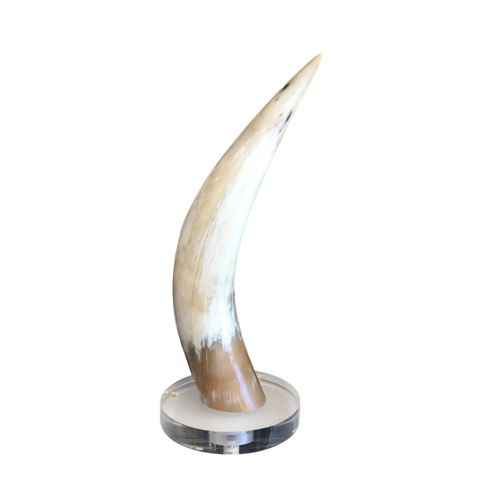Natural Horn on Lucite Base