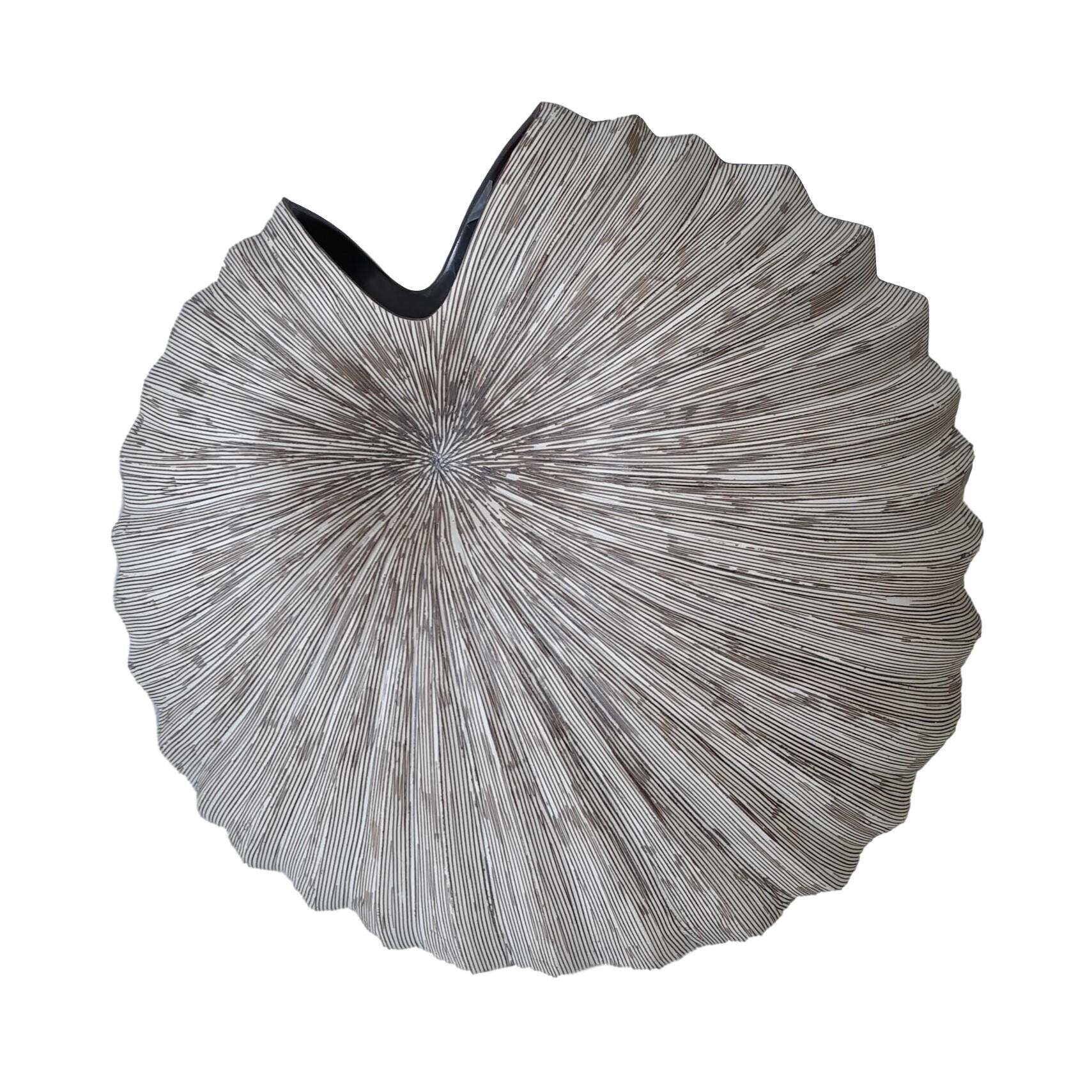 Large Ribbed Shell , Brown Stripe