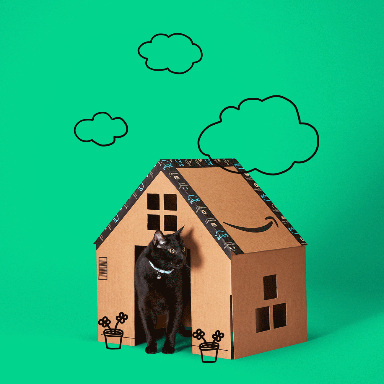 House made out of a box!