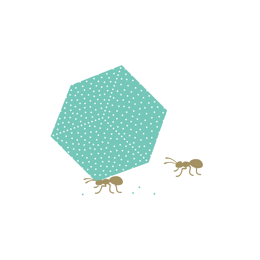 F&M_520X520_8.png