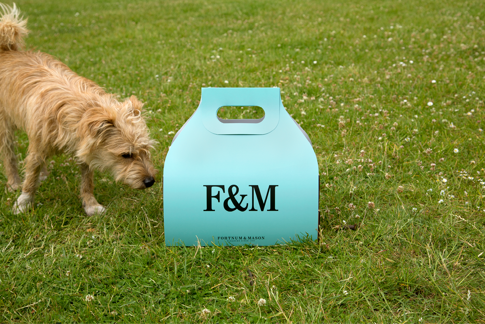 Fortnum & Mason Hamperling
