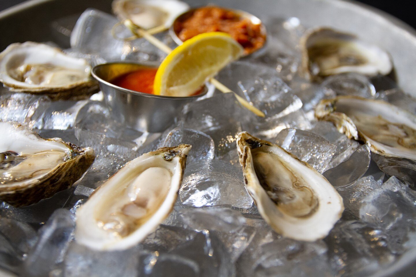 buck-a-shuck / every friday from 5pm-7pm! ⁠
come see us and enjoy fresh oysters! 🤩⁠
moncton + dieppe