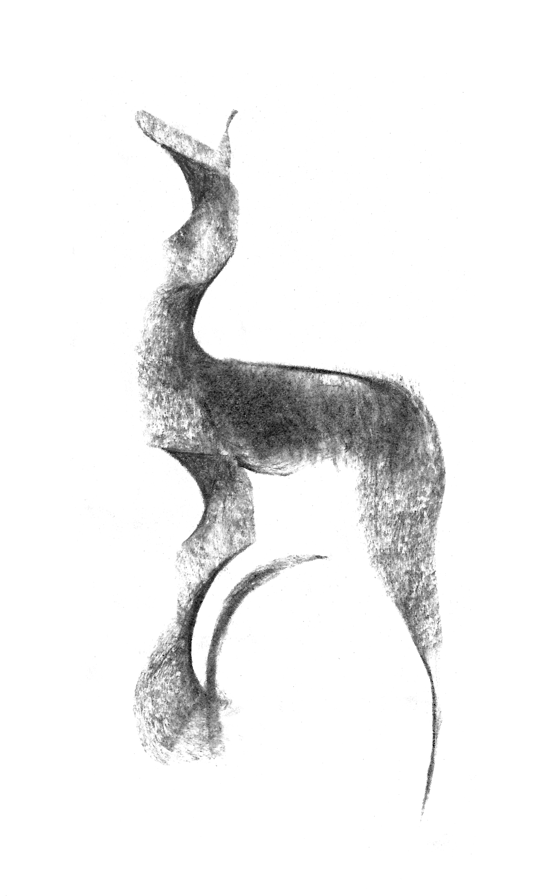 bryanmock_antelope.jpeg